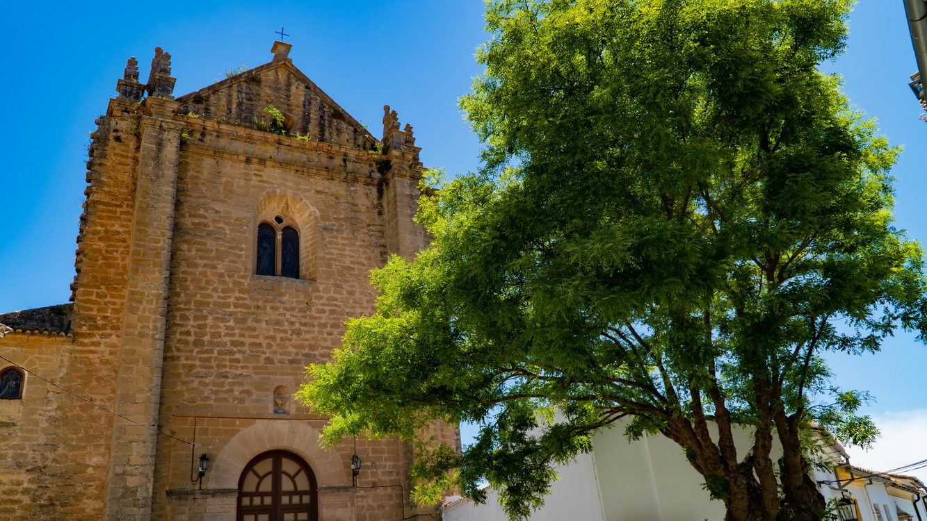 Arquitectura borry 0054