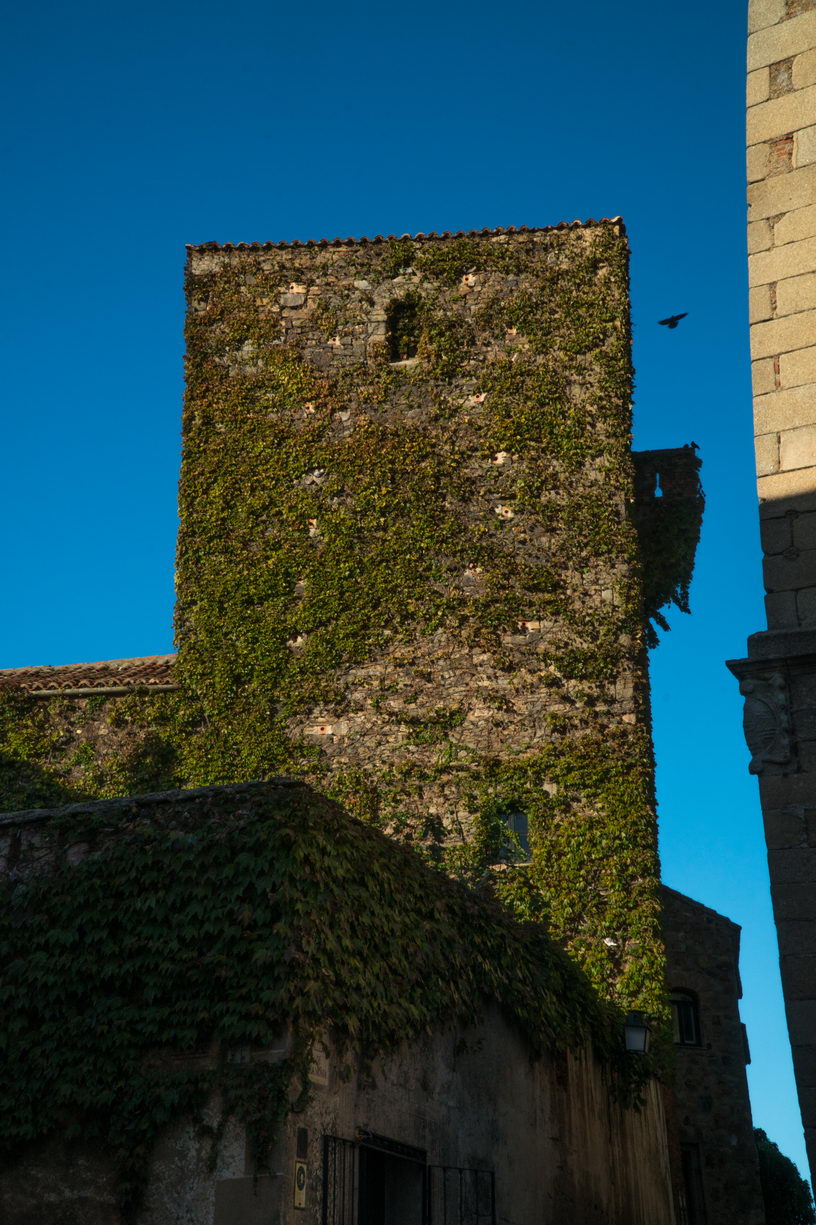 Arquitectura borry 0072