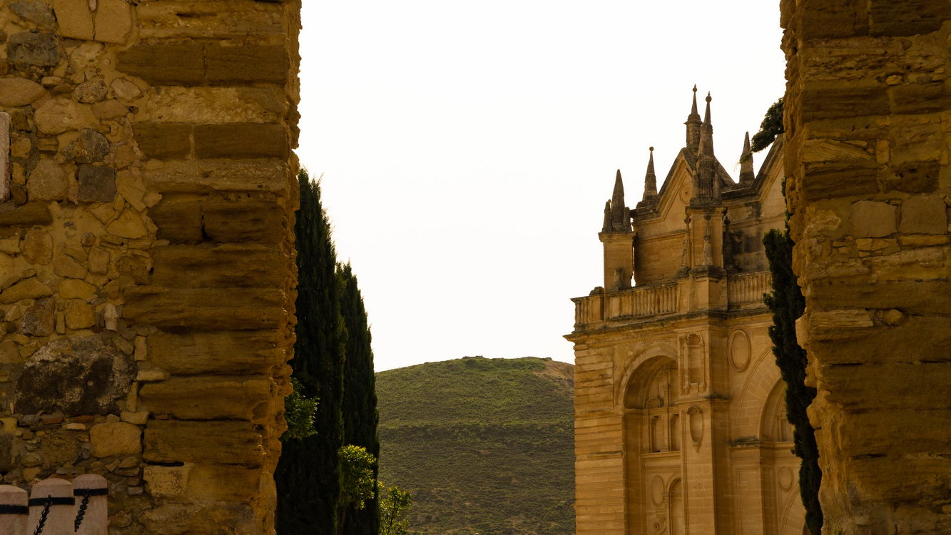 Arquitectura borry 0078