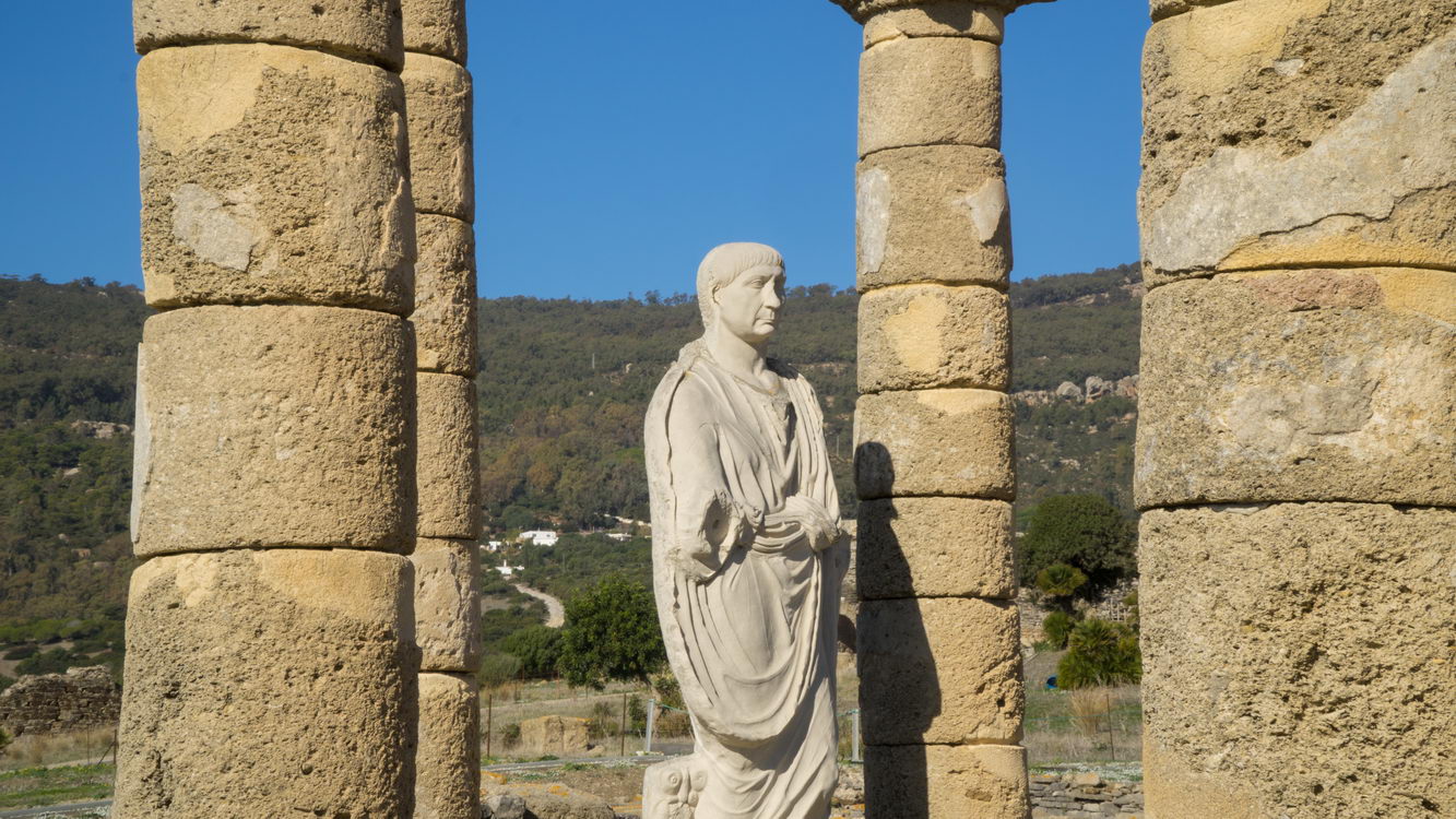 Arquitectura borry 0080