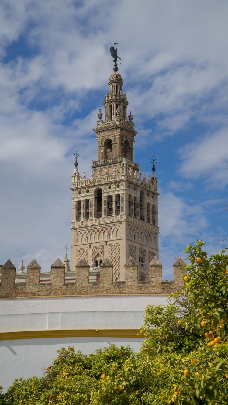 Arquitectura borry 0104