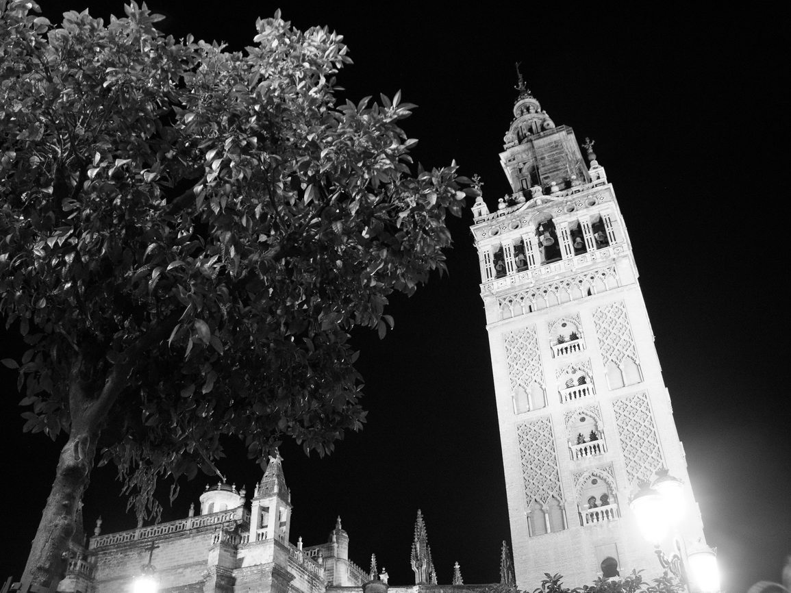 Arquitectura borry 0125