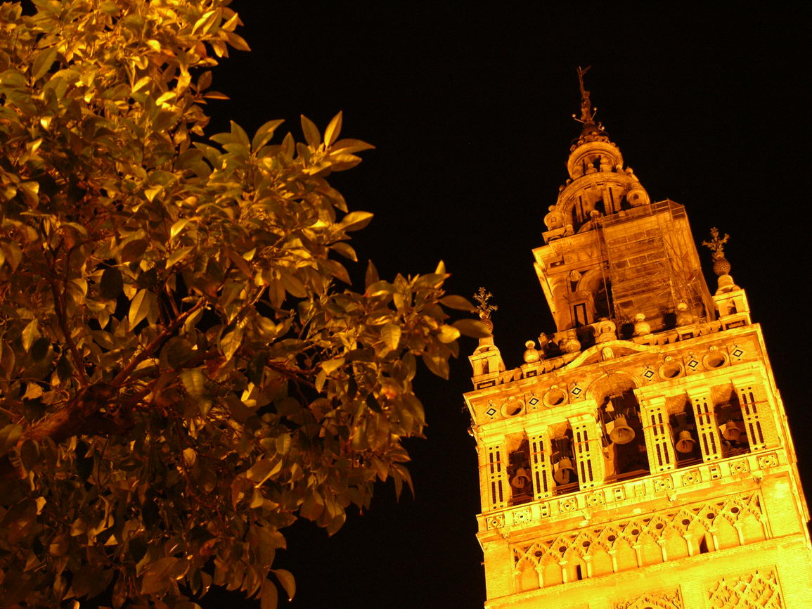 Arquitectura borry 0126