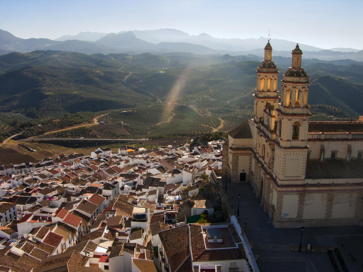 Arquitectura borry 0131