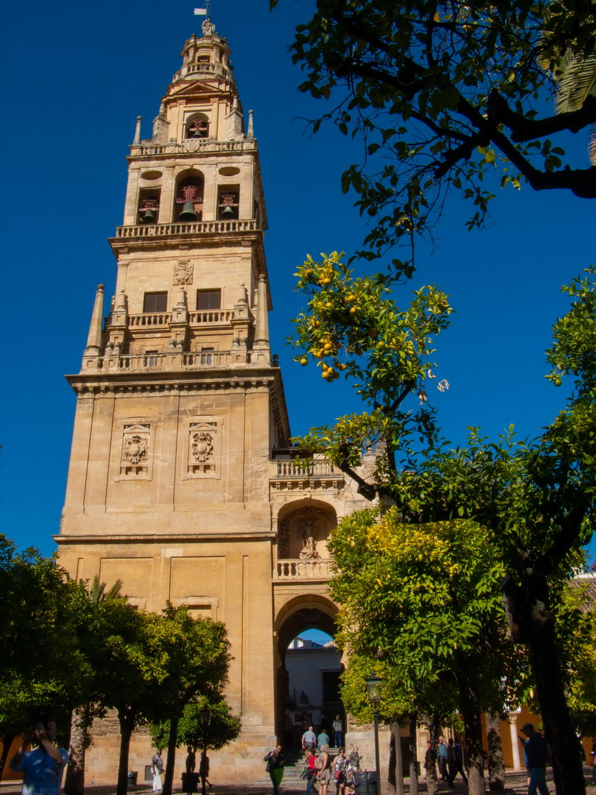 Arquitectura borry 0132