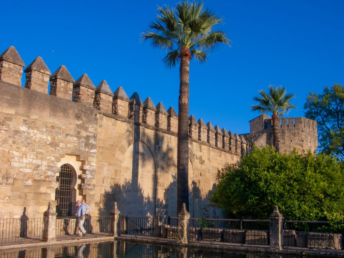 Arquitectura borry 0139