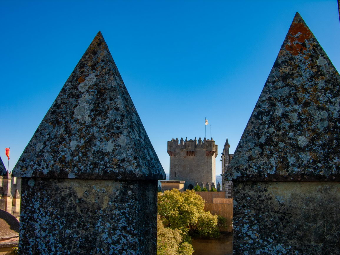 Castillos borry 0029
