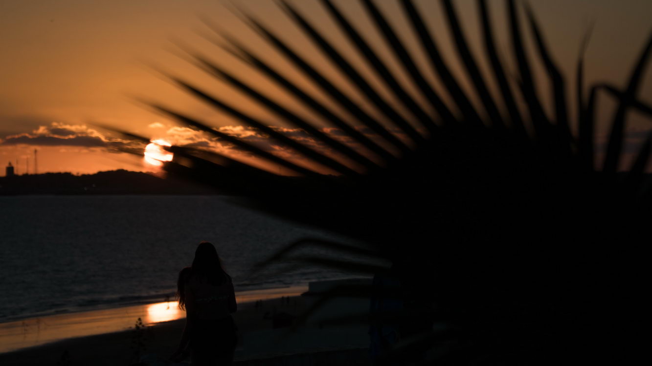 Atardecer anochecer borry 0004