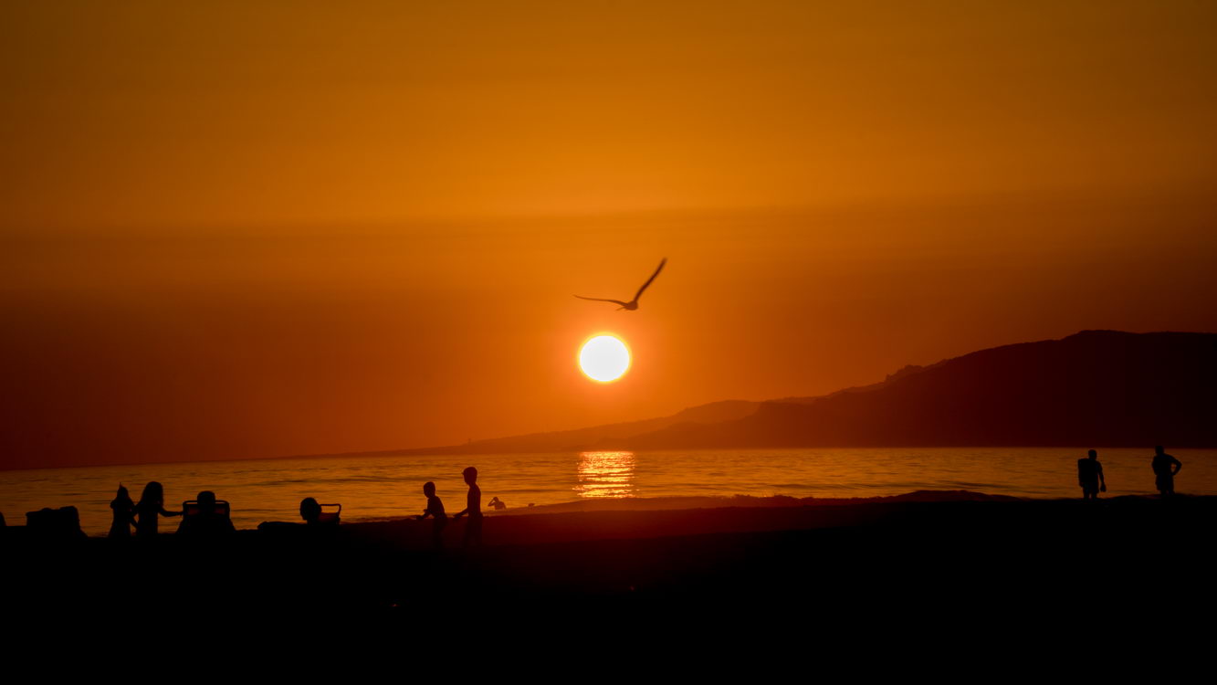 Atardecer / Anochecer