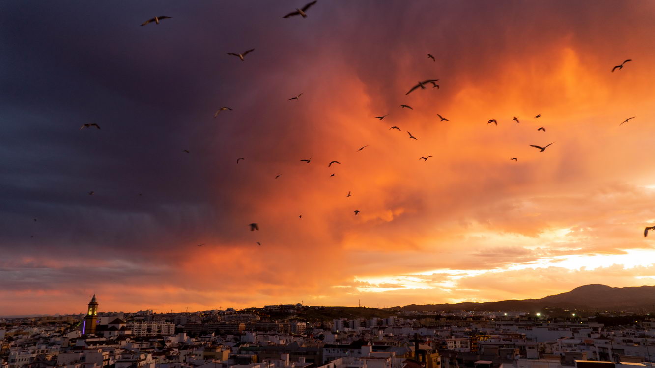 Atardecer anochecer borry 0019