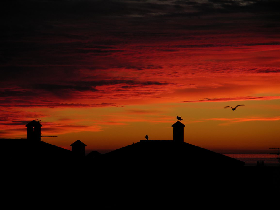 Atardecer anochecer borry 0022