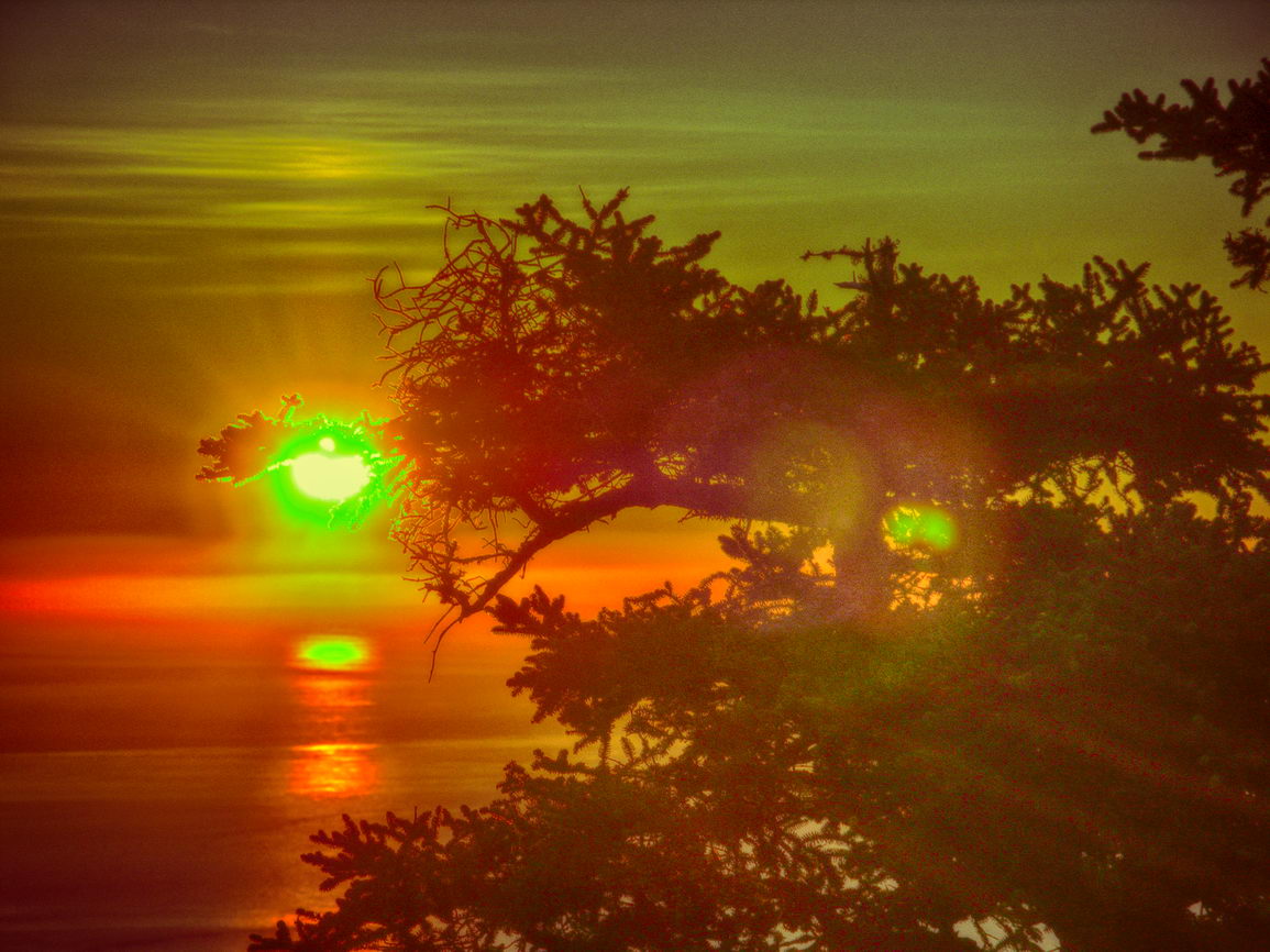 Atardecer anochecer borry 0028