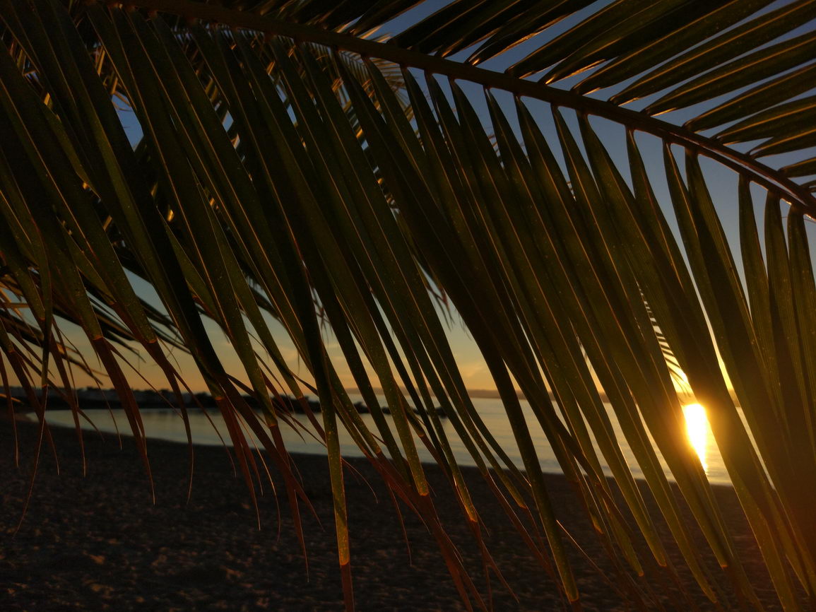 Atardecer anochecer borry 0034