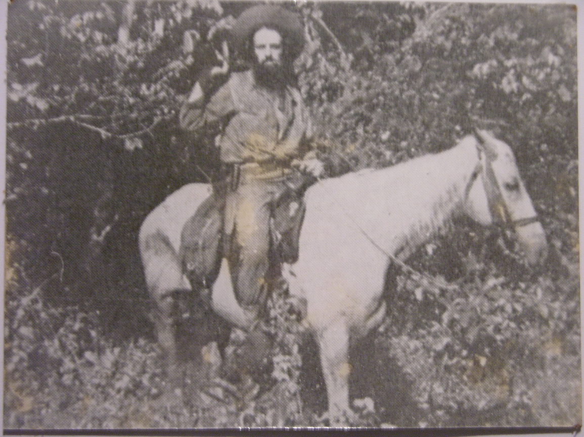 La habana borry 0013