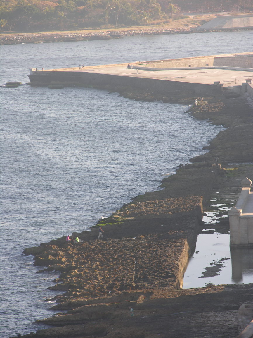 La habana borry 0017