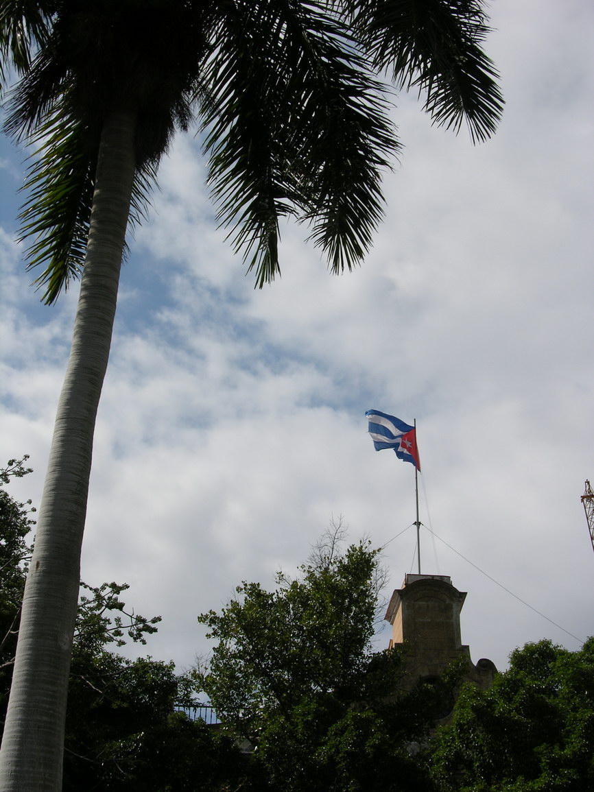 La habana borry 0058