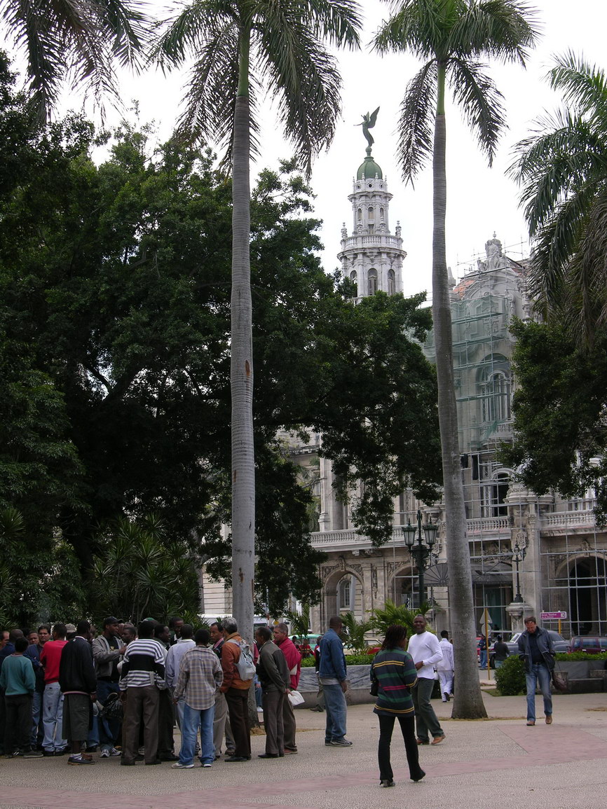 La habana borry 0085