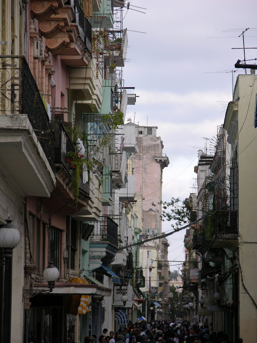 La habana borry 0110