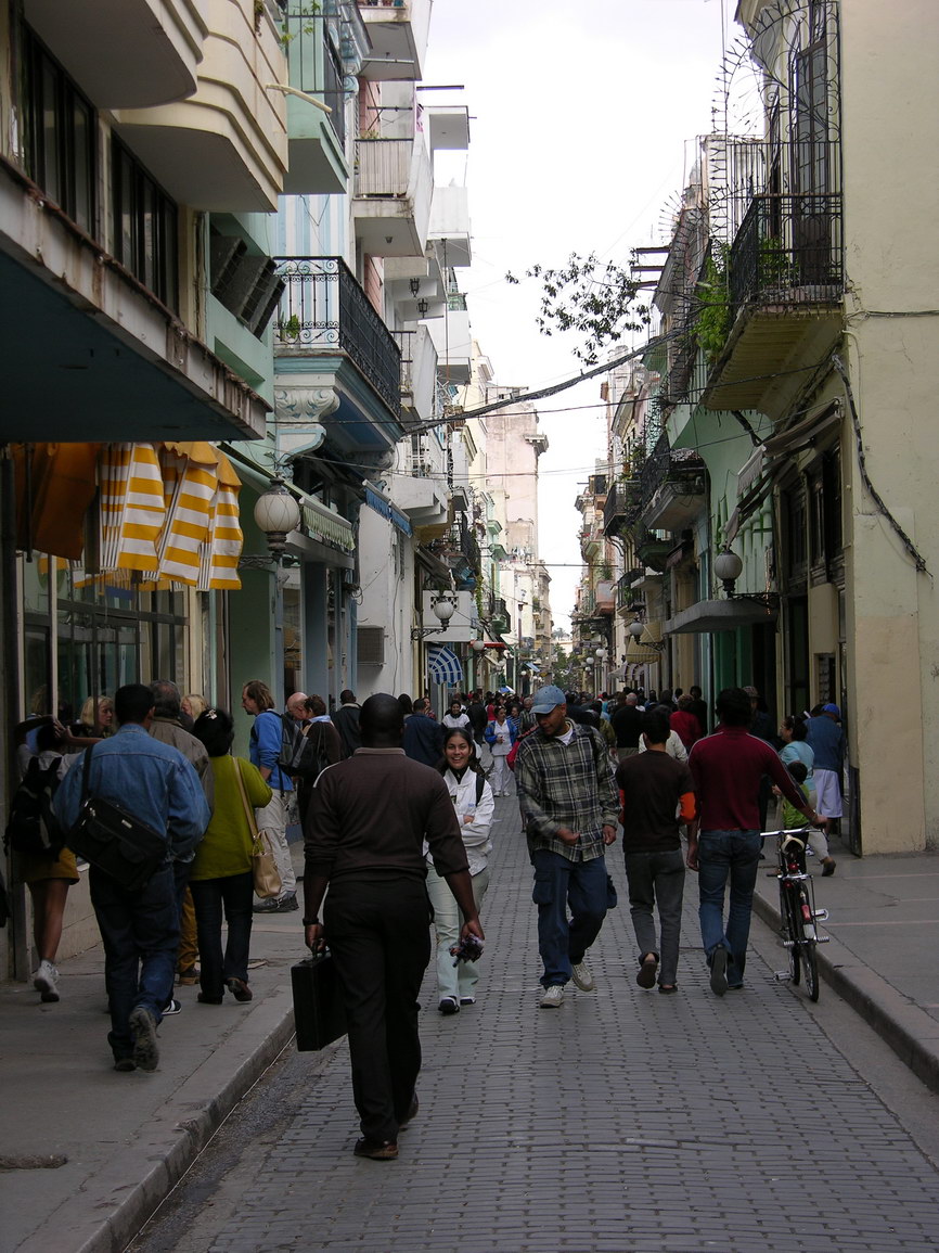 La habana borry 0112