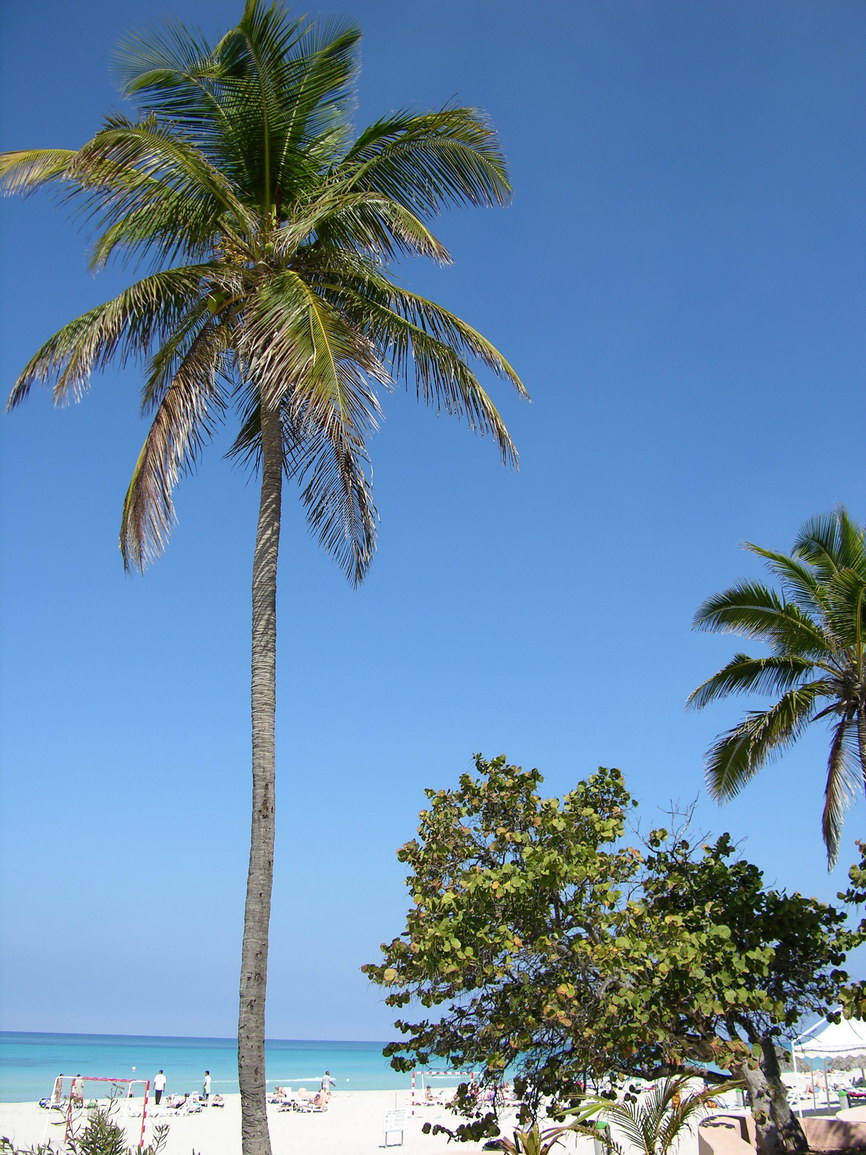 Varadero cuba borry 0024