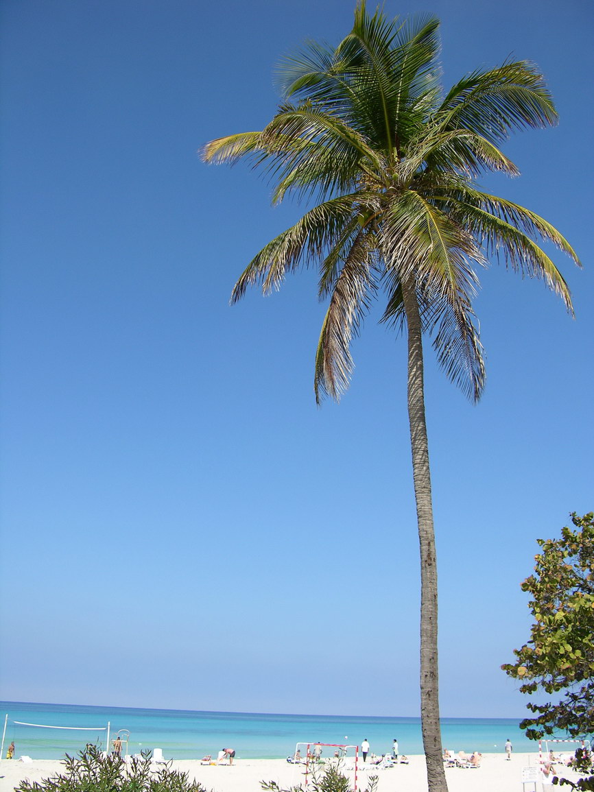 Varadero cuba borry 0025