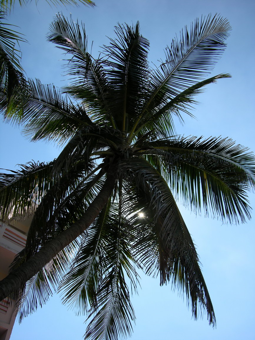 Varadero cuba borry 0026