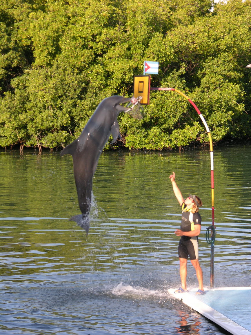 Varadero cuba borry 0029