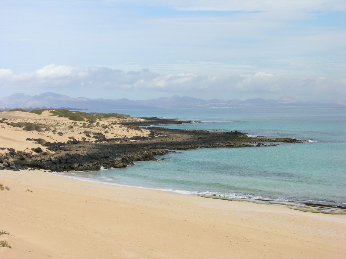 Fuerteventura corralejo borry 0002