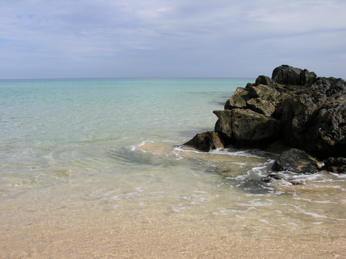 Fuerteventura corralejo borry 0005