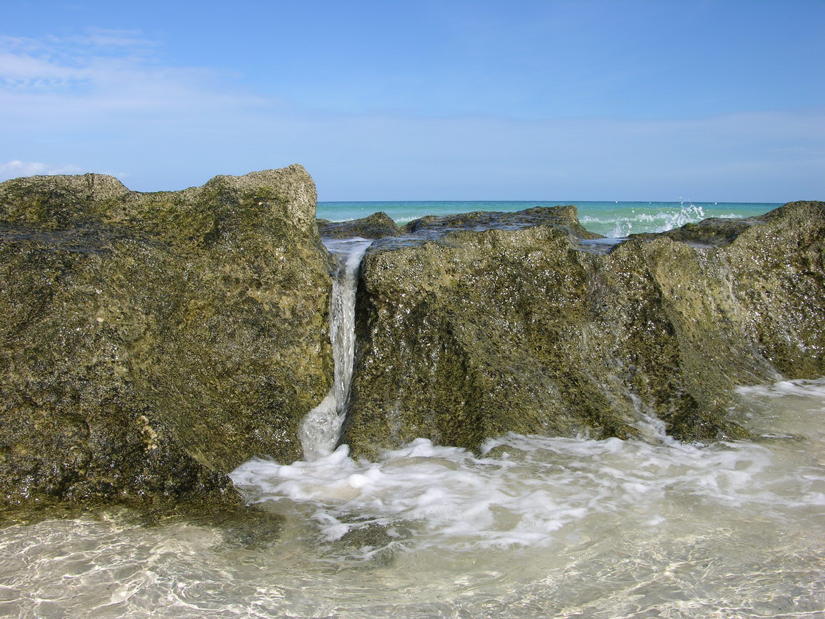 Fuerteventura corralejo borry 0009