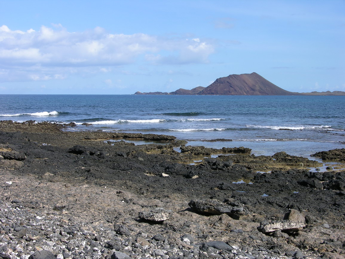 Fuerteventura corralejo borry 0013