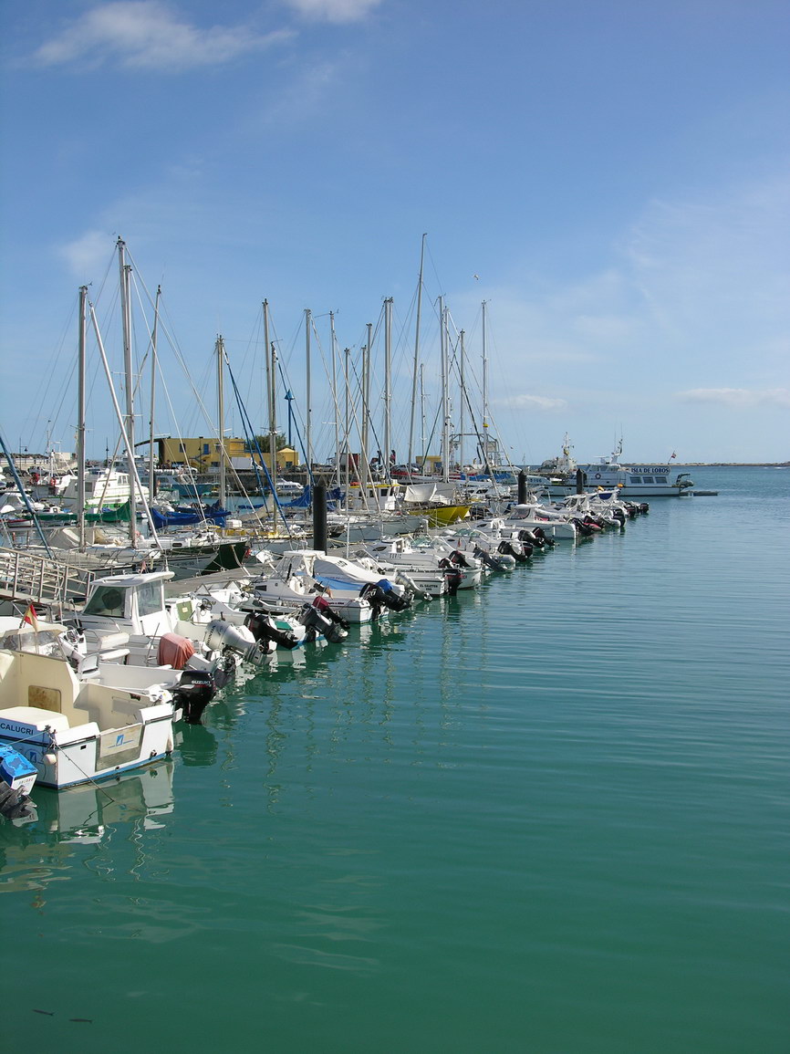 Fuerteventura corralejo borry 0018