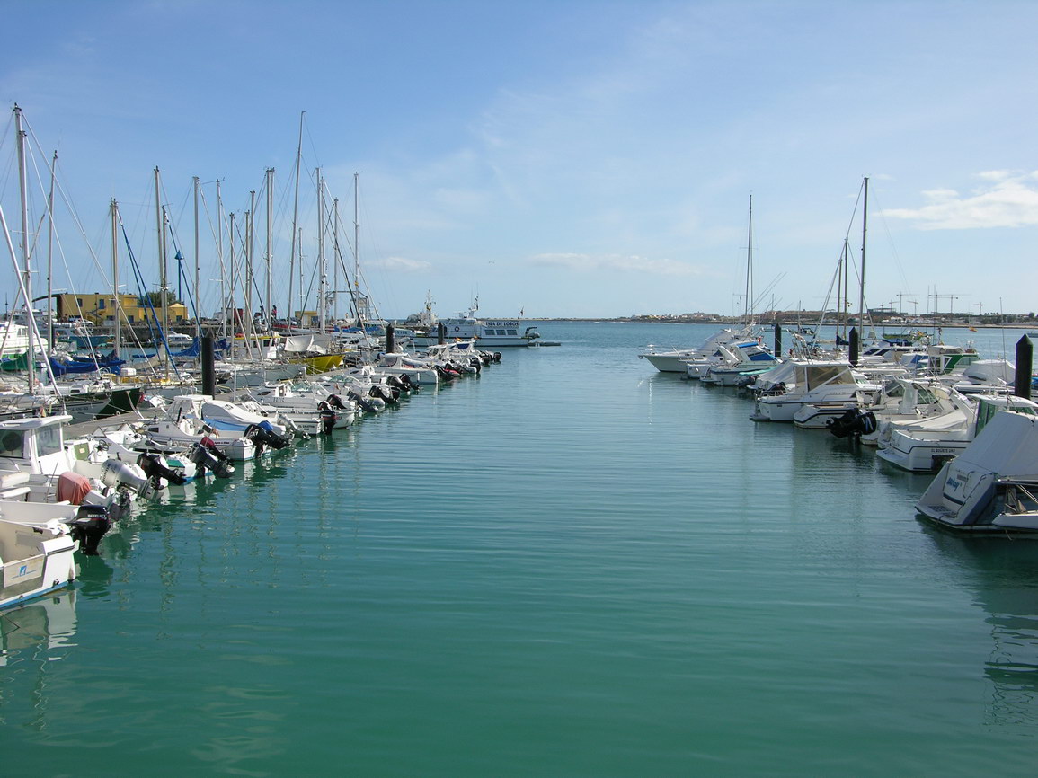 Fuerteventura corralejo borry 0019