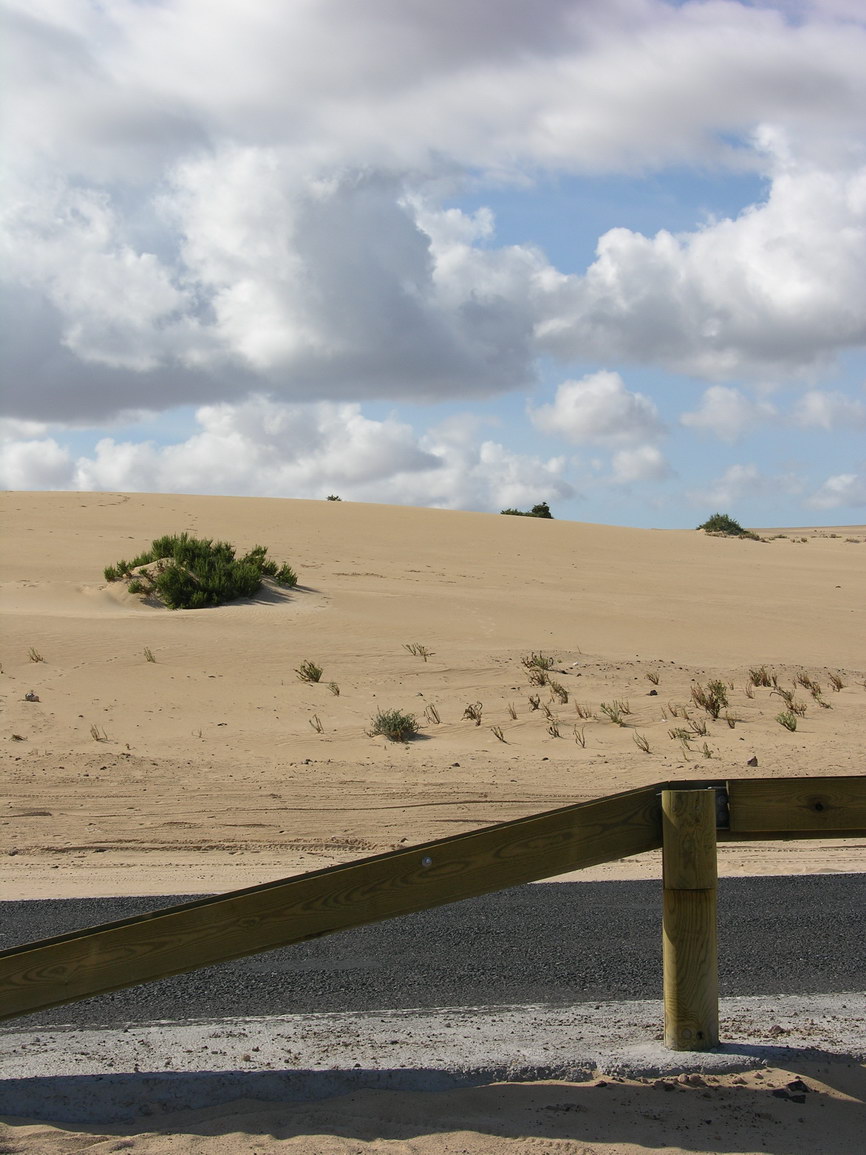 Fuerteventura corralejo borry 0020