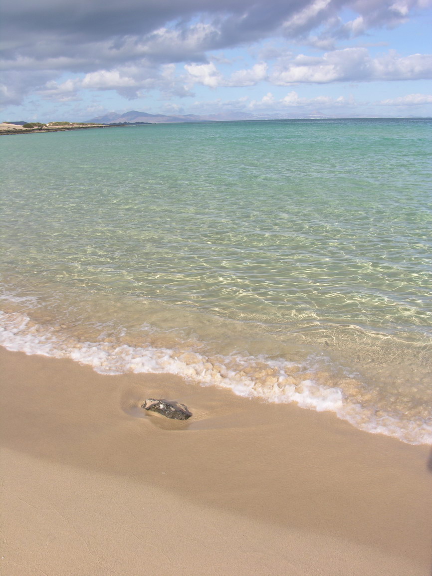 Fuerteventura corralejo borry 0025