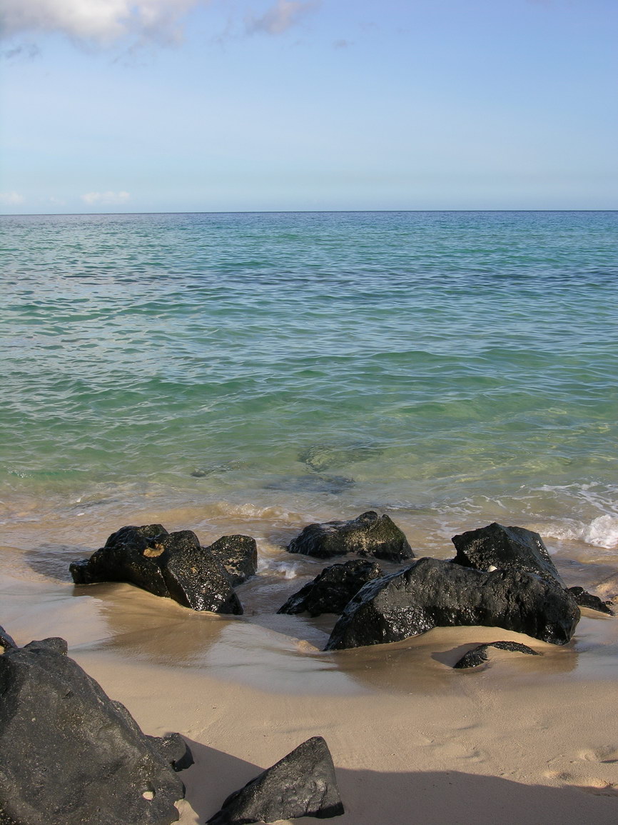 Fuerteventura corralejo borry 0026
