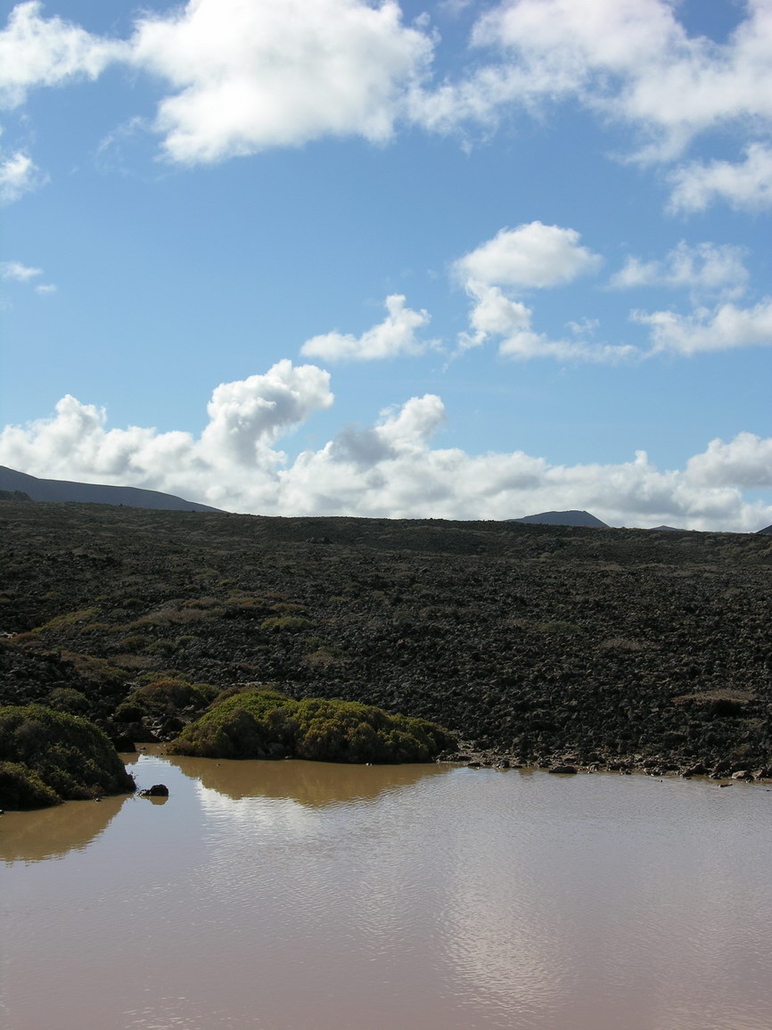 Fuerteventura cotillo borry 0003