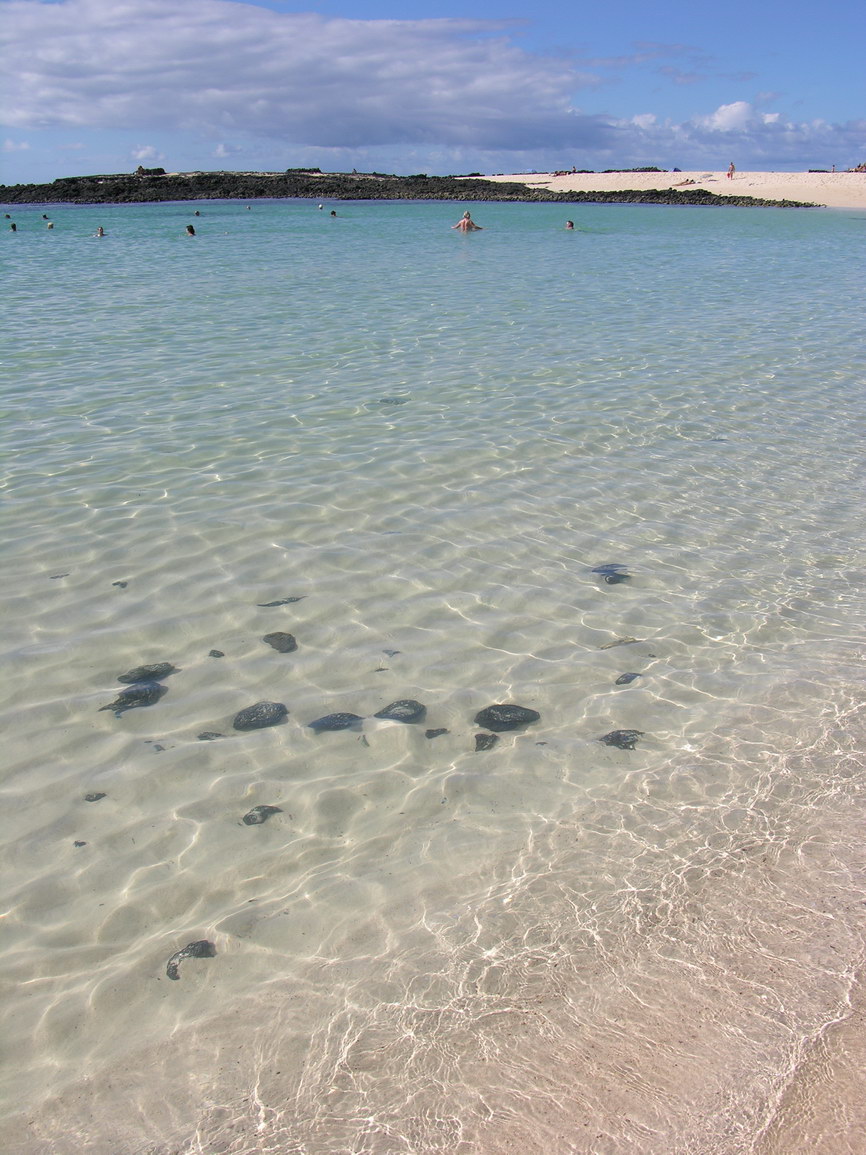Fuerteventura cotillo borry 0009