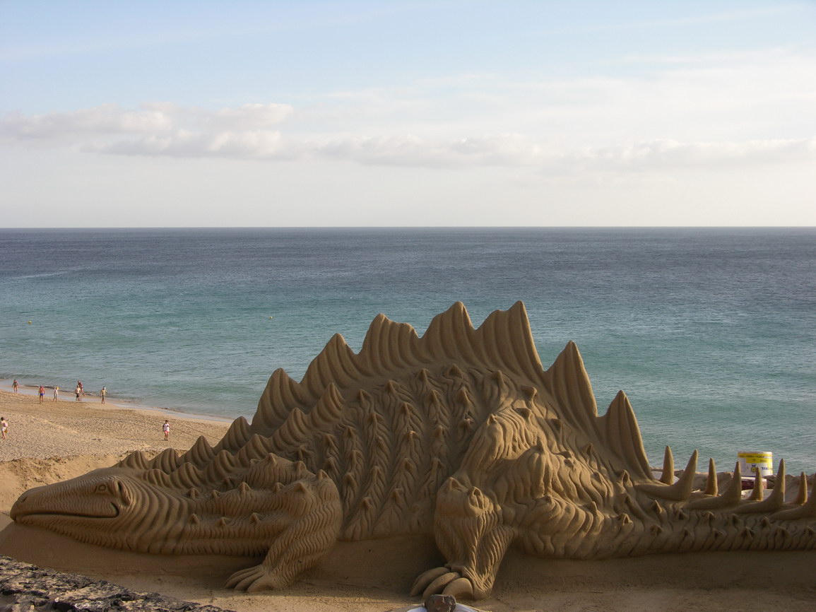 Fuerteventura jandia borry 0013