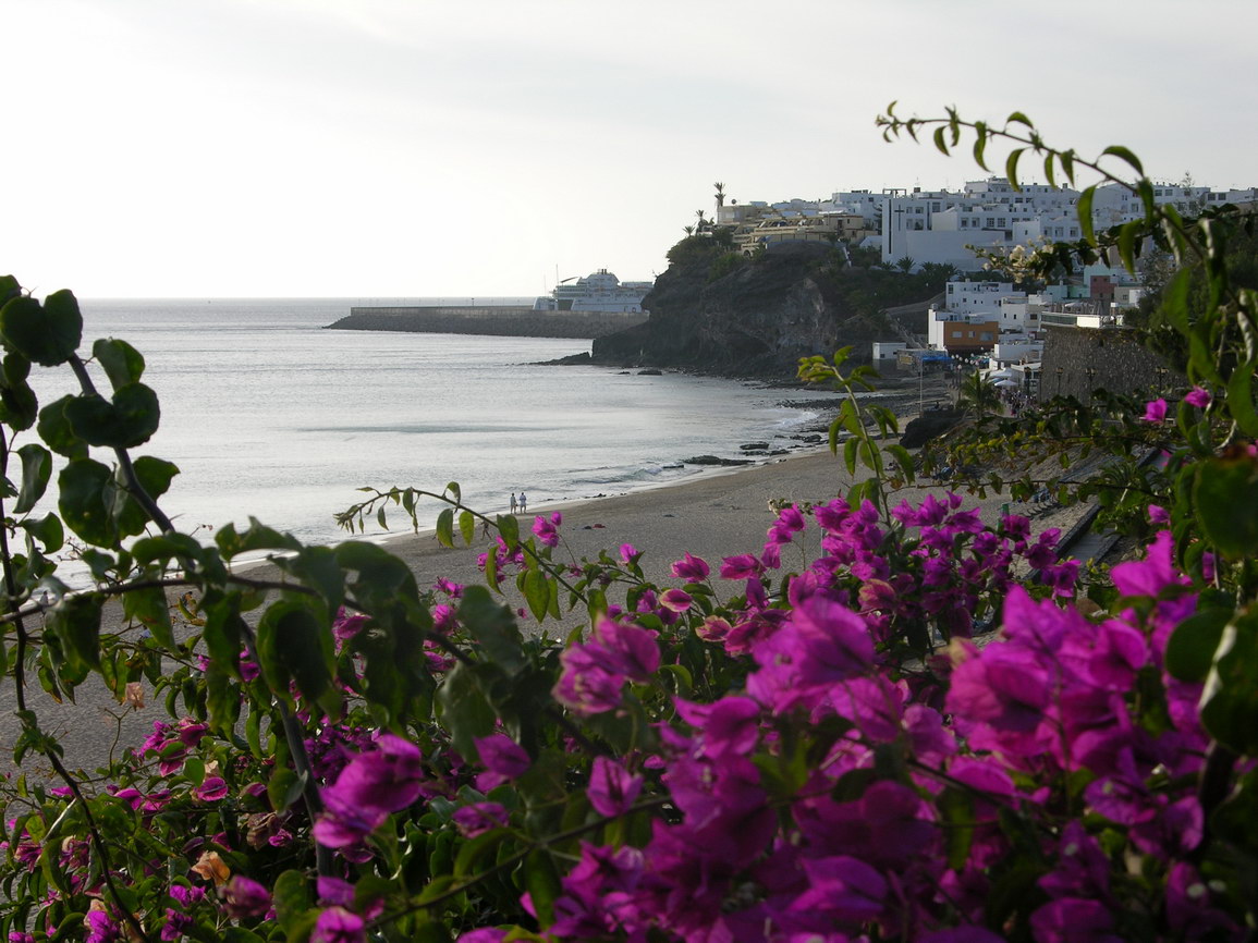 Fuerteventura jandia borry 0017