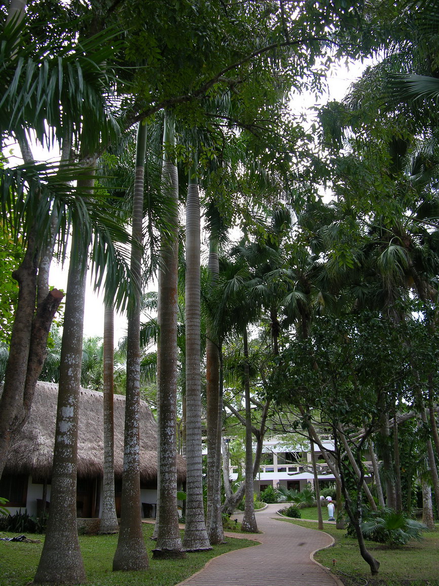 Chichen itza borry 0001