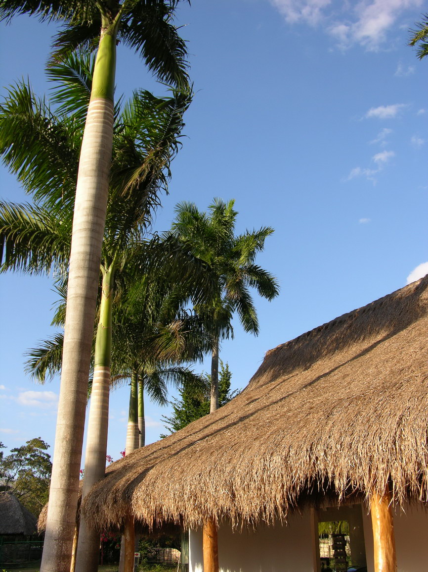Chichen itza borry 0036