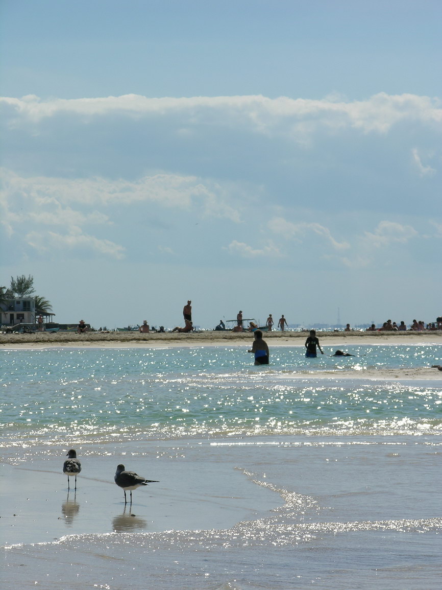 Isla mujeres borry 0027