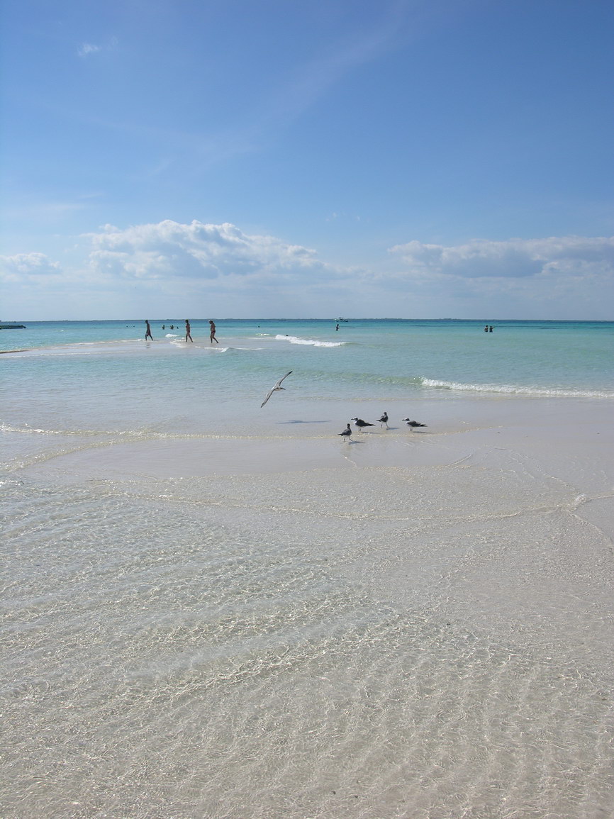 Isla mujeres borry 0029