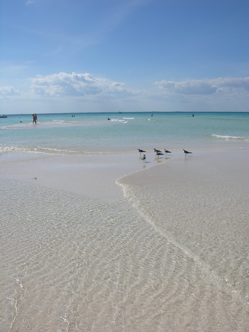 Isla mujeres borry 0030