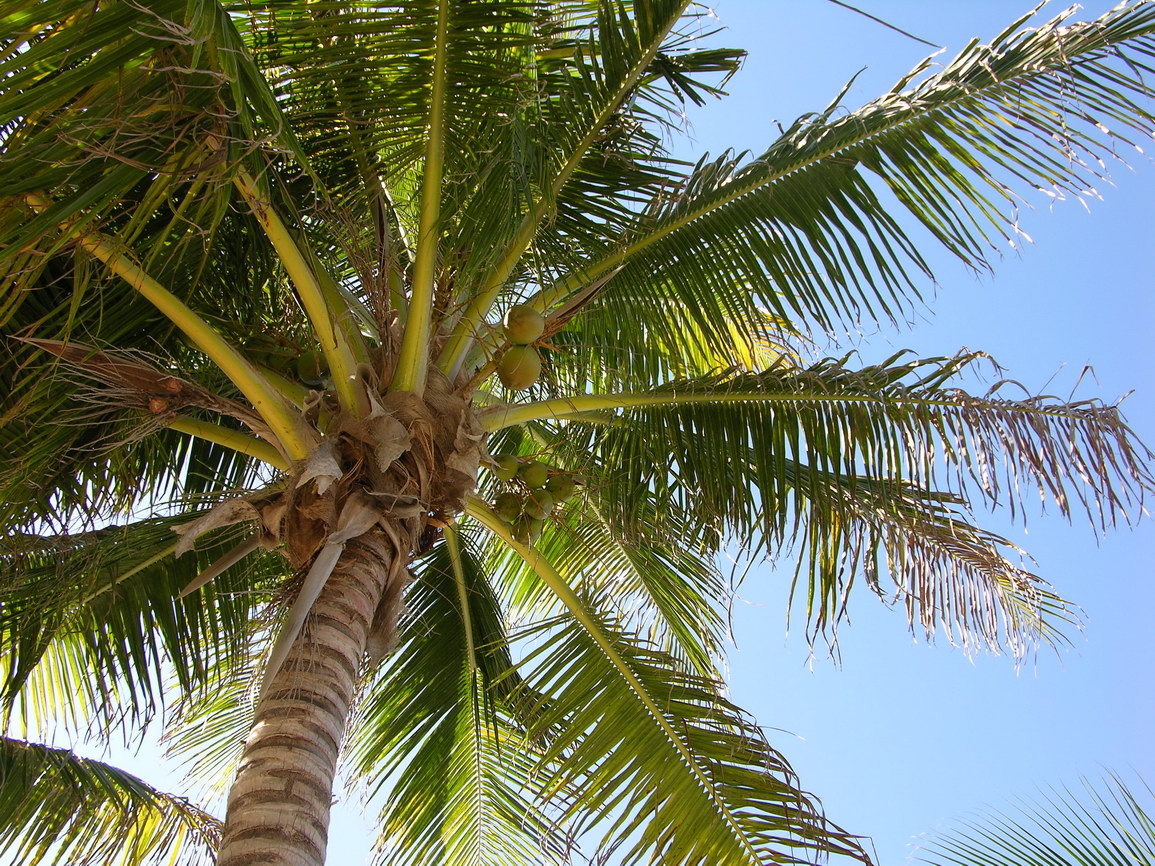 Isla mujeres borry 0032