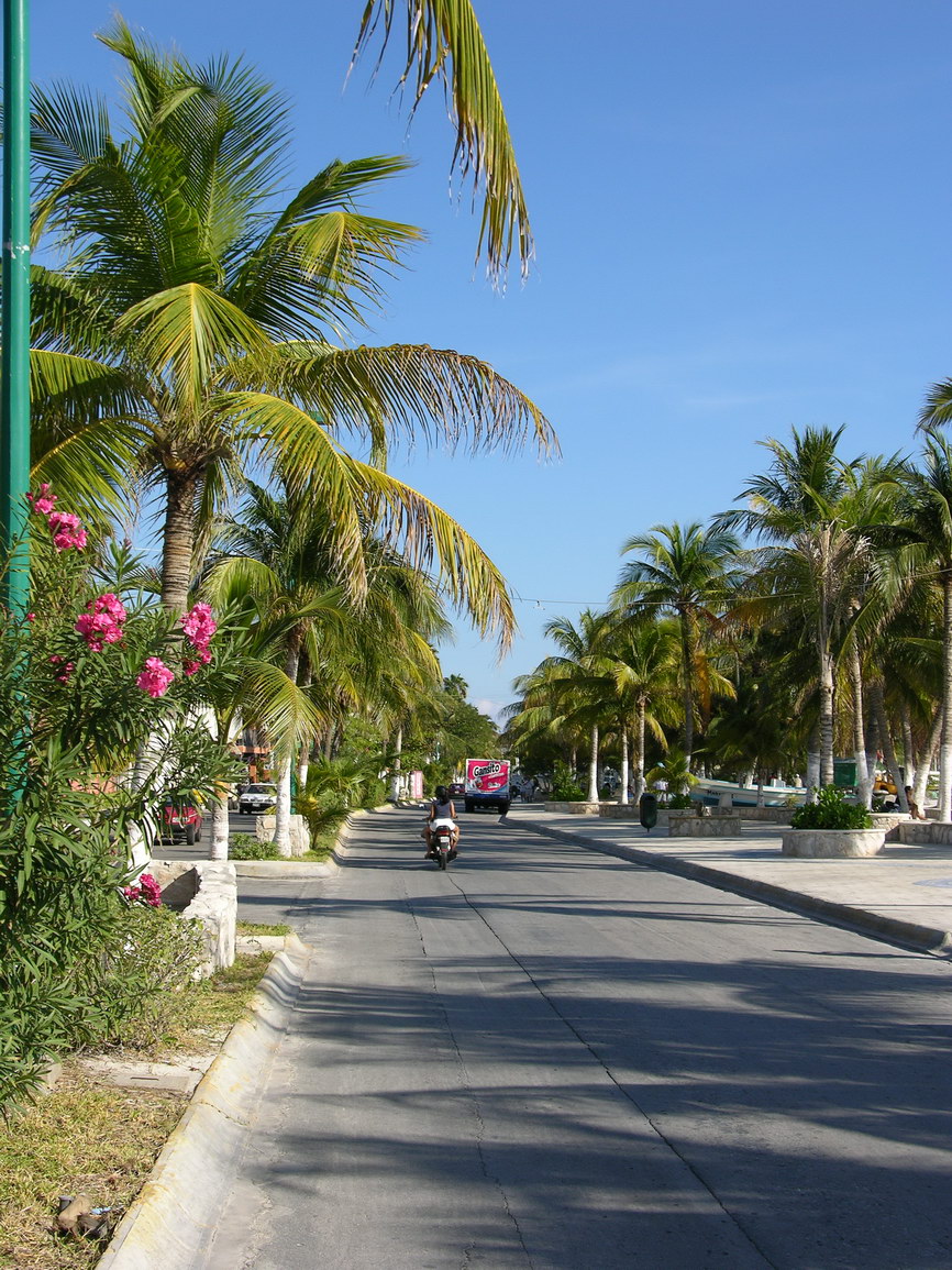 Isla mujeres borry 0040