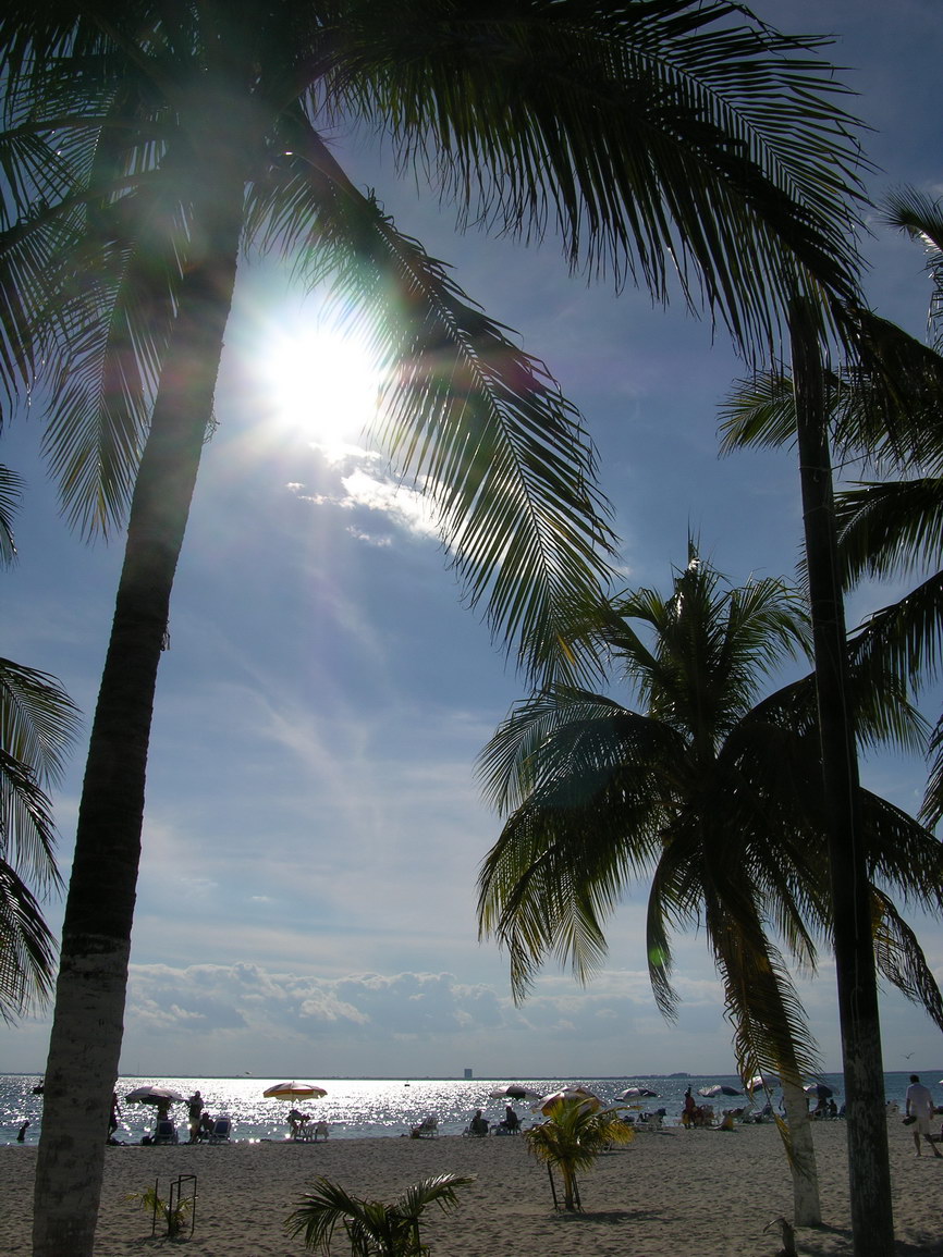 Isla mujeres borry 0041