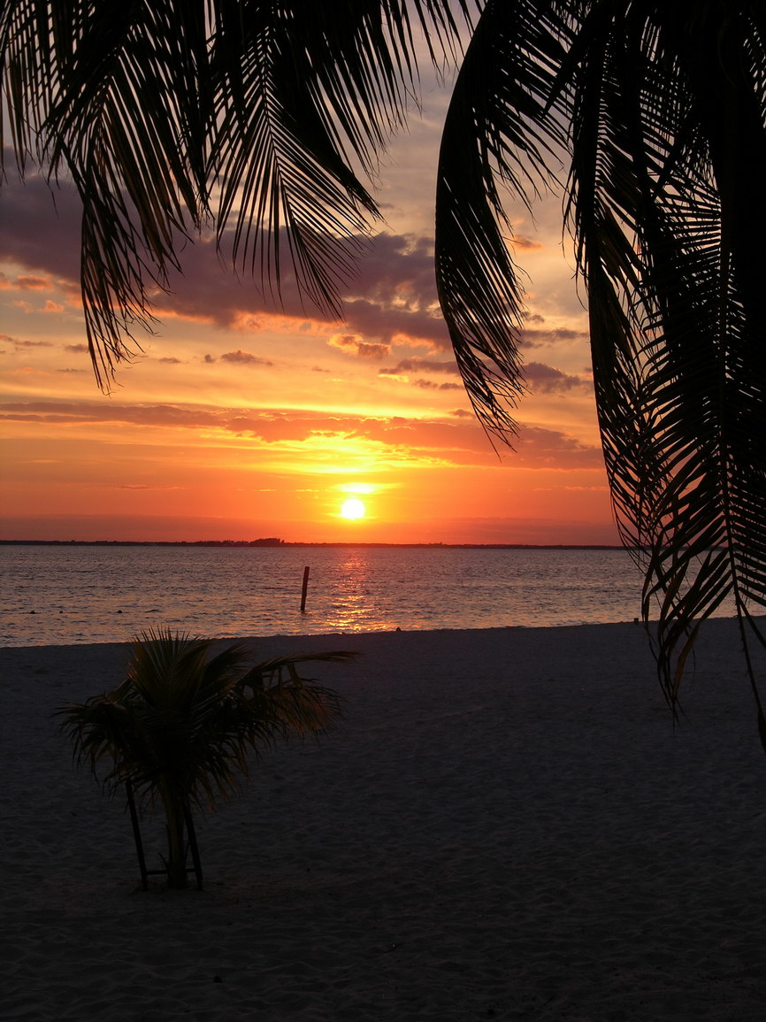Isla mujeres borry 0043