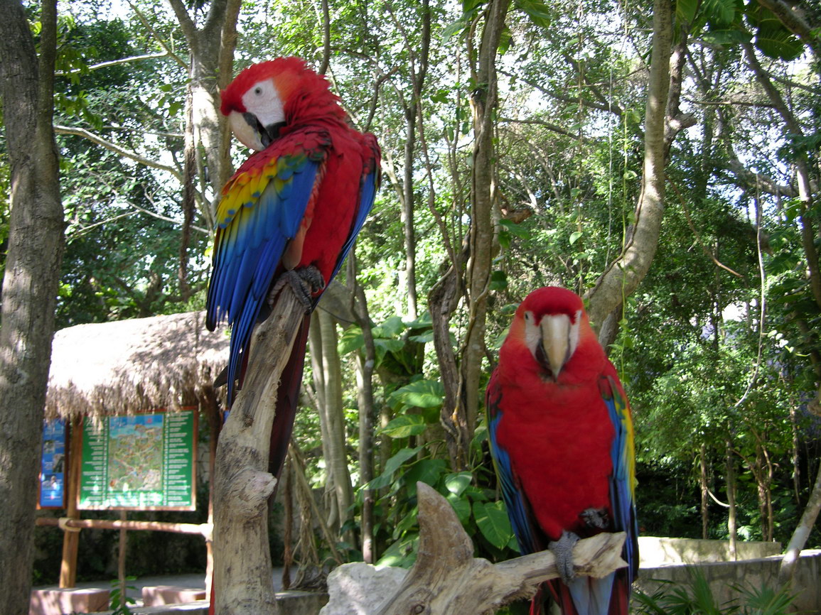 Parque xcaret borry 0001